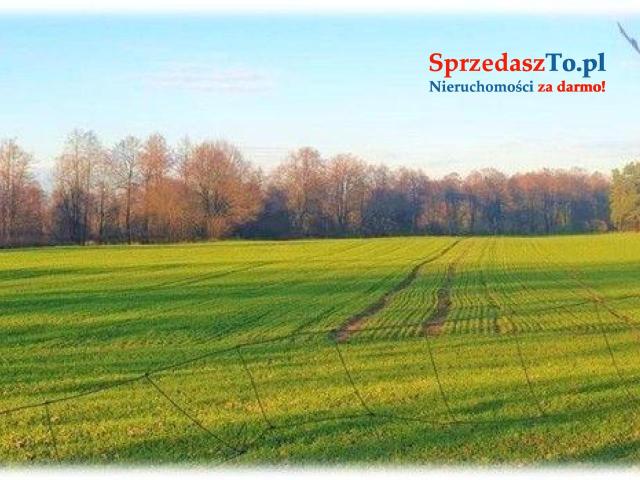 Działki rolne z możliwością zabudowy