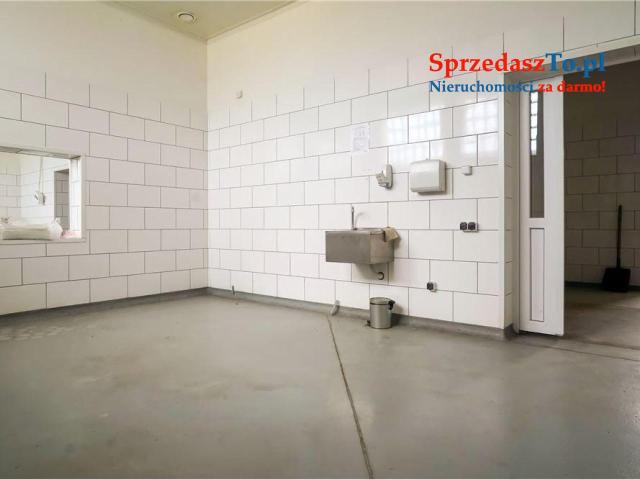 na sprzedaż Hala/Magazyn/Zakład produkcyjny - 6