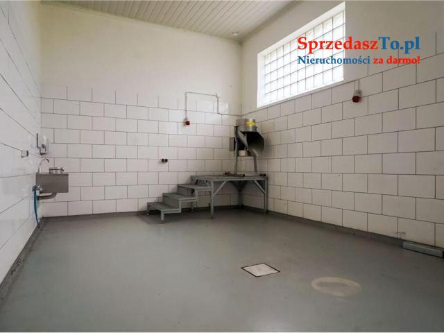 na sprzedaż Hala/Magazyn/Zakład produkcyjny - 7