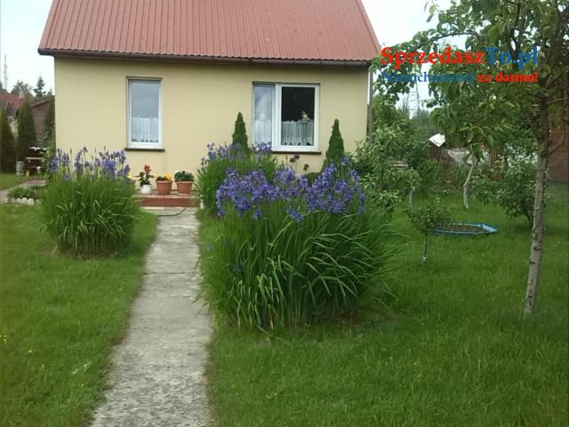 Sprzedam działkę ROD ,,Sarenka’’ W Częstochowie