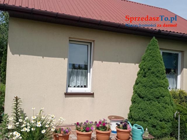 Sprzedam działkę ROD ,,Sarenka’’ W Częstochowie