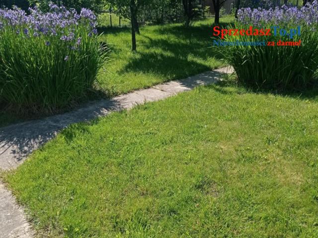 Sprzedam działkę ROD ,,Sarenka’’ W Częstochowie - 6