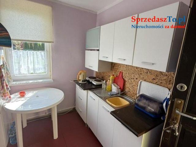 Sprzedam działkę ROD ,,Sarenka’’ W Częstochowie - 7