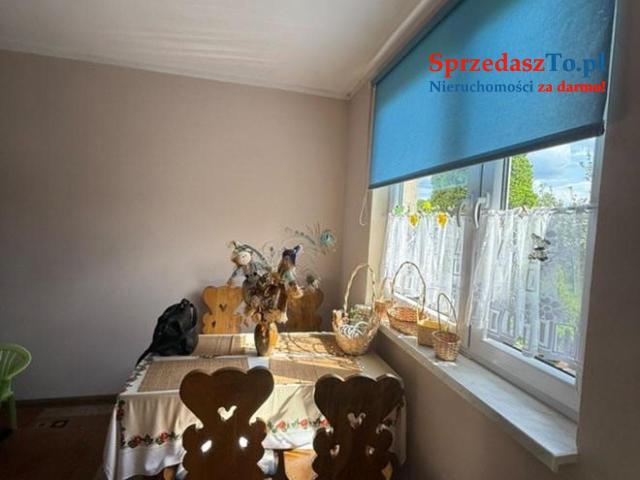 Sprzedam działkę ROD ,,Sarenka’’ W Częstochowie - 9