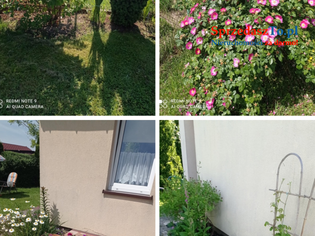 Sprzedam działkę ROD ,,Sarenka’’ W Częstochowie - 12