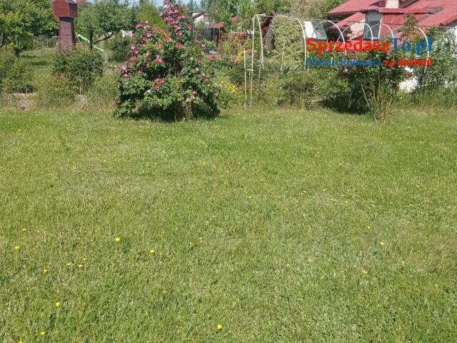Sprzedam działkę ROD ,,Sarenka’’ W Częstochowie - 14