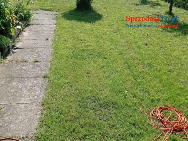 Sprzedam działkę ROD ,,Sarenka’’ W Częstochowie - 19