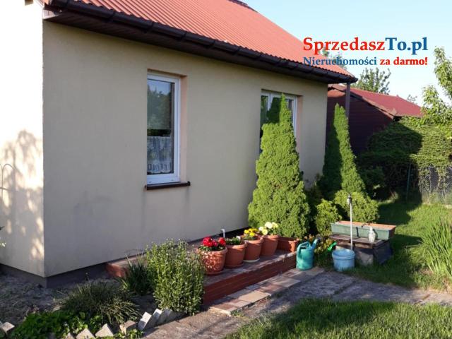 Sprzedam działkę ROD ,,Sarenka’’ W Częstochowie - 20