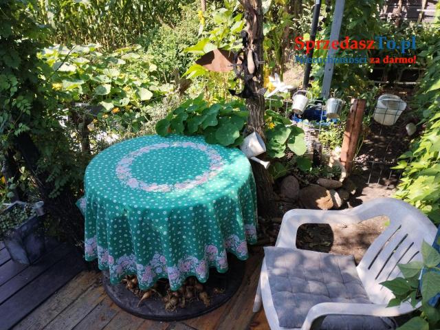 Sprzedam działkę rekreacyjną zagospodarowaną - 9