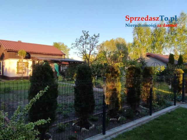 Odstąpię dzierżawę działki ROD ZAGŁĘBIE w Sosnowcu - 6