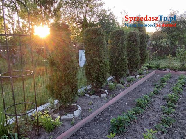 Odstąpię dzierżawę działki ROD ZAGŁĘBIE w Sosnowcu - 7