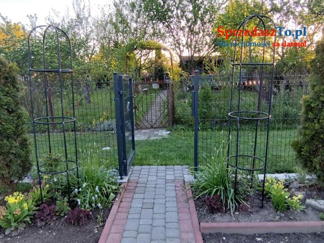 Odstąpię dzierżawę działki ROD ZAGŁĘBIE w Sosnowcu - 8