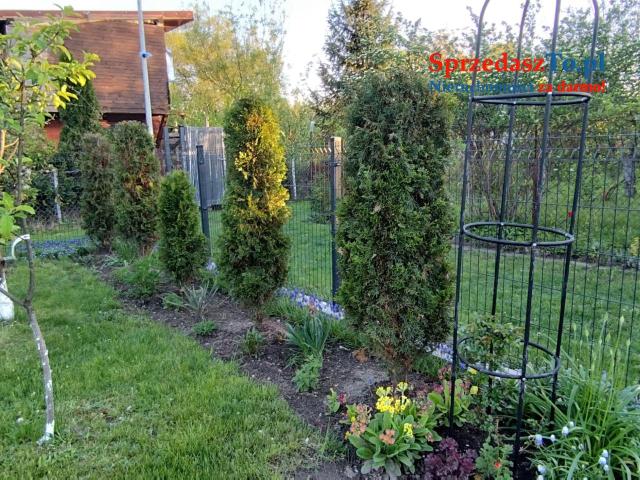 Odstąpię dzierżawę działki ROD ZAGŁĘBIE w Sosnowcu - 9