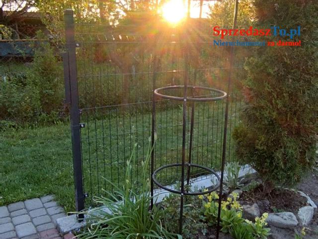 Odstąpię dzierżawę działki ROD ZAGŁĘBIE w Sosnowcu - 10