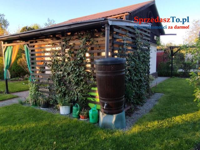 Odstąpię dzierżawę działki ROD ZAGŁĘBIE w Sosnowcu - 11