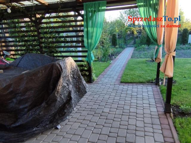 Odstąpię dzierżawę działki ROD ZAGŁĘBIE w Sosnowcu - 12