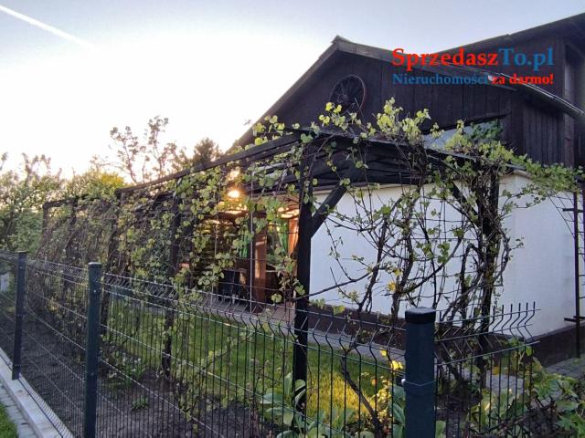 Odstąpię dzierżawę działki ROD ZAGŁĘBIE w Sosnowcu - 13