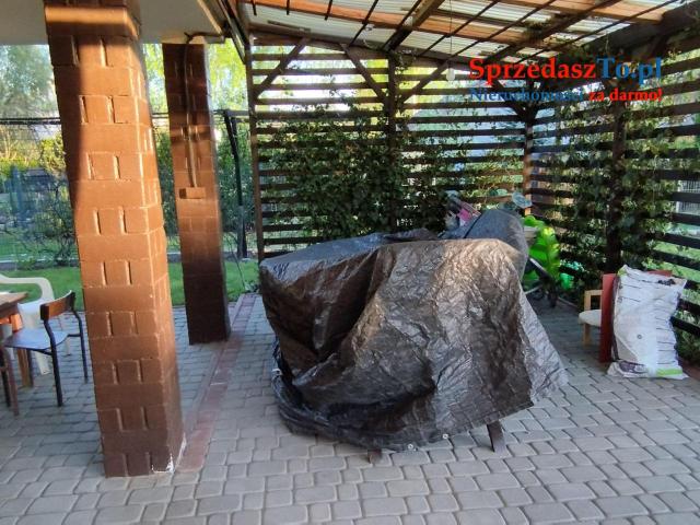 Odstąpię dzierżawę działki ROD ZAGŁĘBIE w Sosnowcu - 15