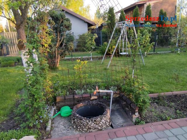 Odstąpię dzierżawę działki ROD ZAGŁĘBIE w Sosnowcu - 16