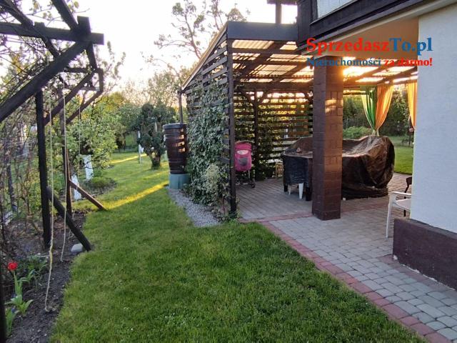 Odstąpię dzierżawę działki ROD ZAGŁĘBIE w Sosnowcu - 18