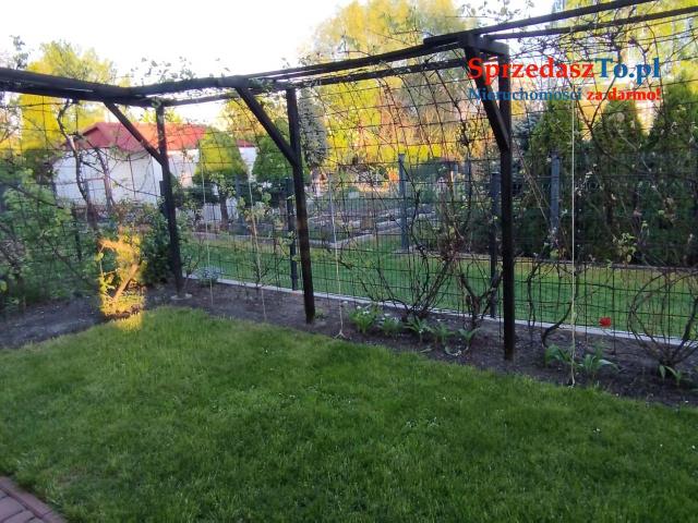 Odstąpię dzierżawę działki ROD ZAGŁĘBIE w Sosnowcu - 19