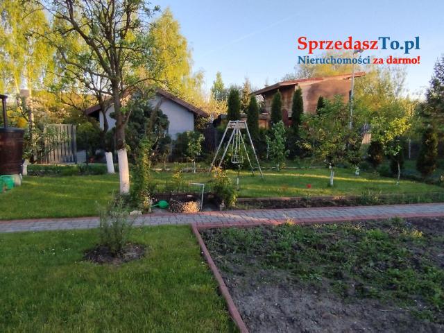 Odstąpię dzierżawę działki ROD ZAGŁĘBIE w Sosnowcu - 20