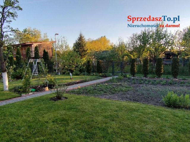 Odstąpię dzierżawę działki ROD ZAGŁĘBIE w Sosnowcu - 21