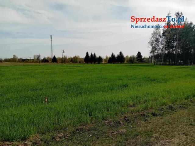 Działka budowlana w Budzisławiu Starym