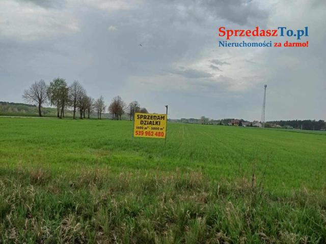 Sprzedam działki w świetnej lokalizacji! 1500 m2 - 6000 m2 GZOWO, gm. Pokrzywnica, pow. pułtuski