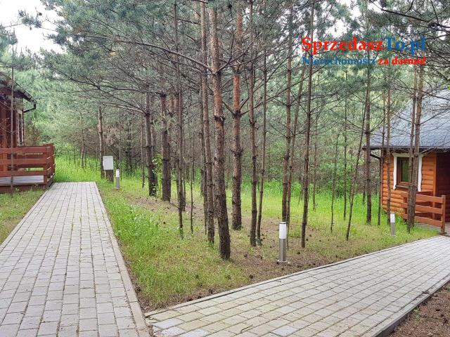 wynajm domki letniskowe + agroturystyka