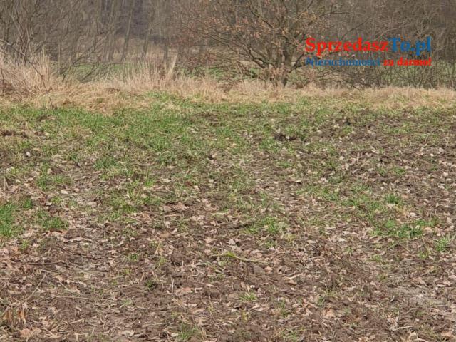 Działka rolna z warunkami zabudowy 1,44ha