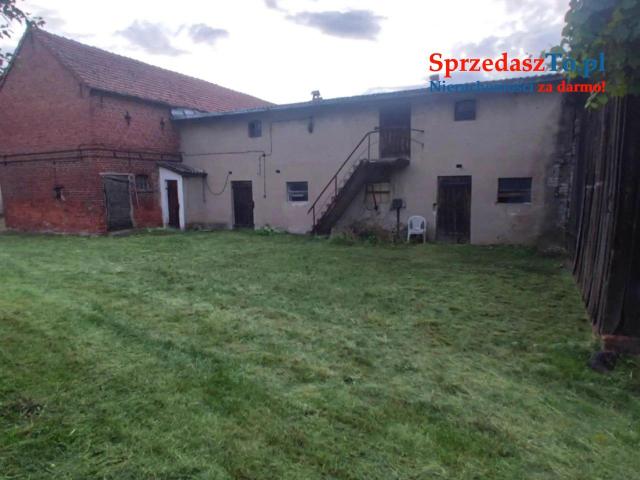 Dom na sprzedaż Renice - 19