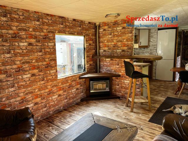 Holenderka 3 x 11 m - 6