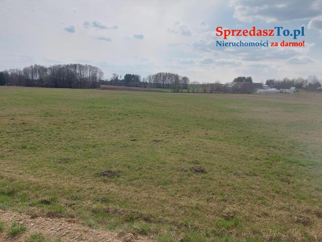 Dzialka Bohdan z warunkami zabudowy - 6