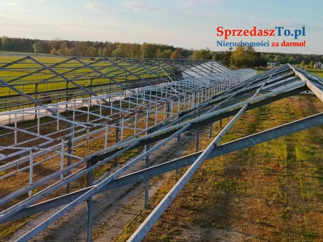 Sprzedam Gospodarstwo z budynkami i maszynami - 6