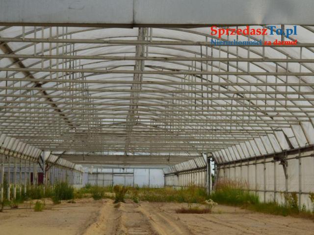 Sprzedam Gospodarstwo z budynkami i maszynami - 8