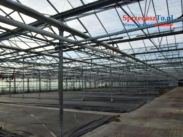 Sprzedam Gospodarstwo z budynkami i maszynami - 9