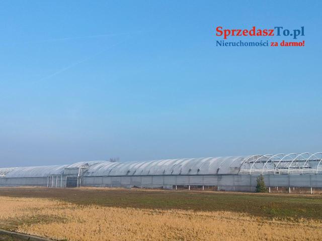 Sprzedam Gospodarstwo z budynkami i maszynami - 11