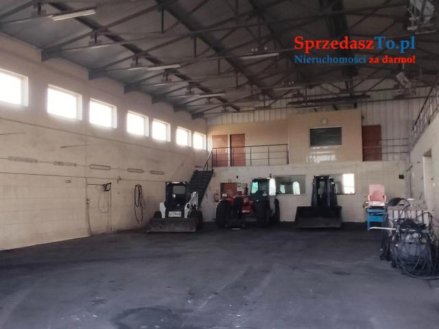 Sprzedam Gospodarstwo z budynkami i maszynami - 13