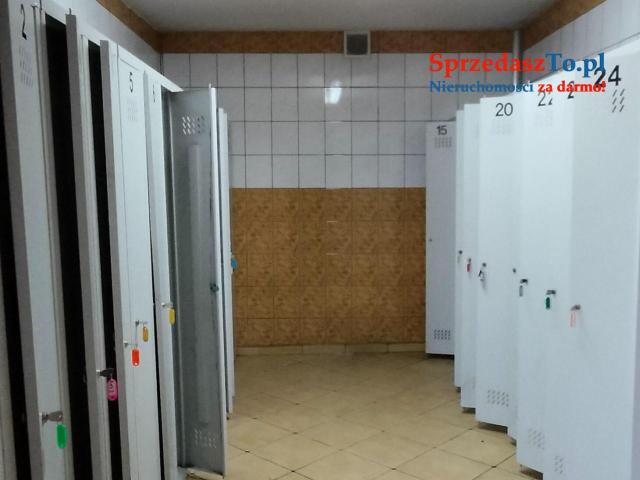 Sprzedam Gospodarstwo z budynkami i maszynami - 17