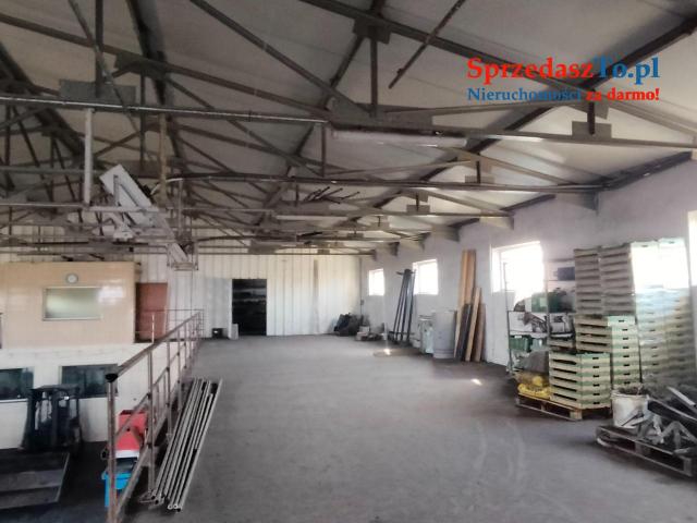 Sprzedam Gospodarstwo z budynkami i maszynami - 19