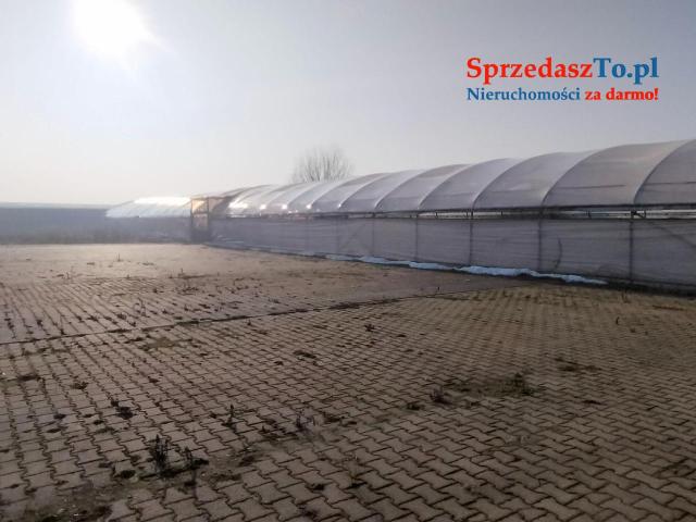 Sprzedam Gospodarstwo z budynkami i maszynami - 21