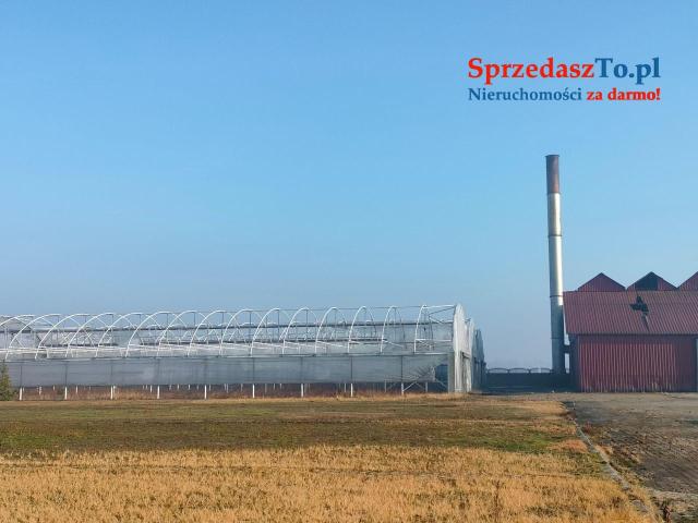 Sprzedam Gospodarstwo z budynkami i maszynami - 22