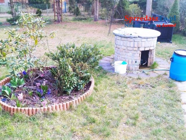 Działka ROD z murowanym domkiem - 6