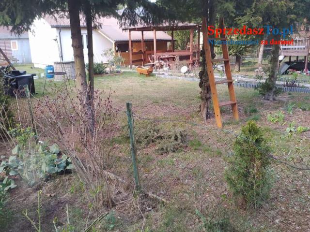 Działka ROD z murowanym domkiem - 11