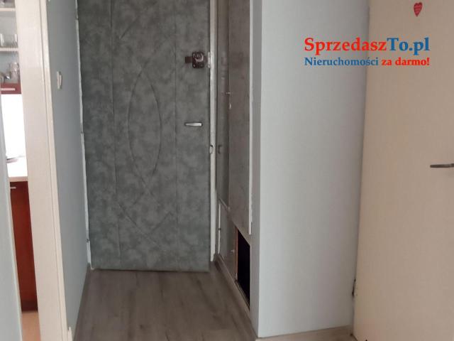 Tania kawalerka do wynajęcia - 10