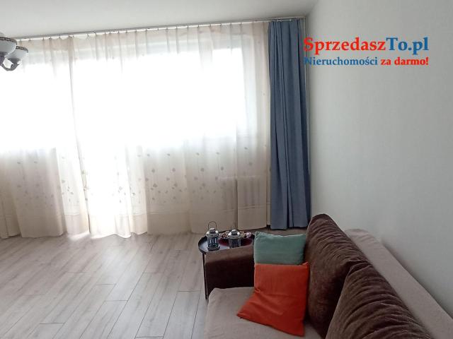 Tania kawalerka do wynajęcia - 11