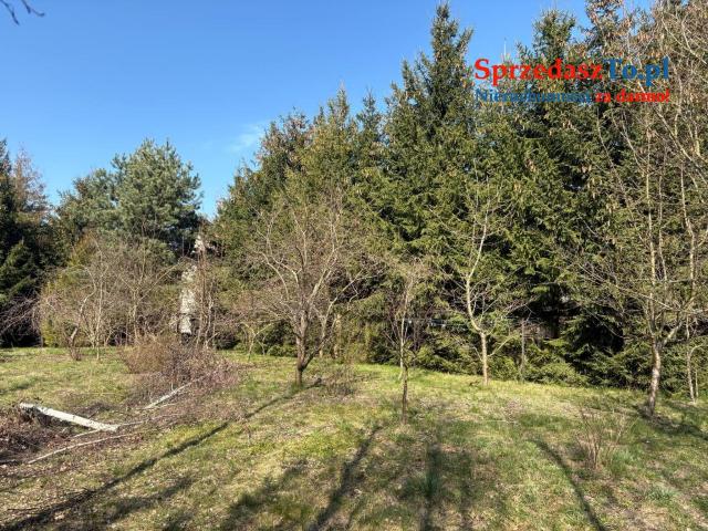 Dom jednorodzinny w otoczeniu natury na Mazurach - 7