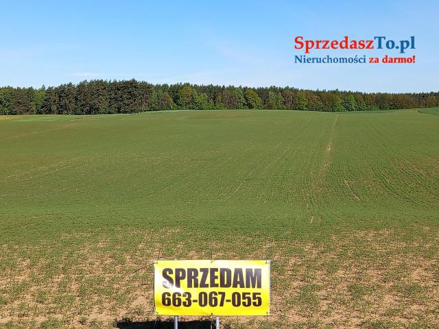 Sprzedam działkę rolną
