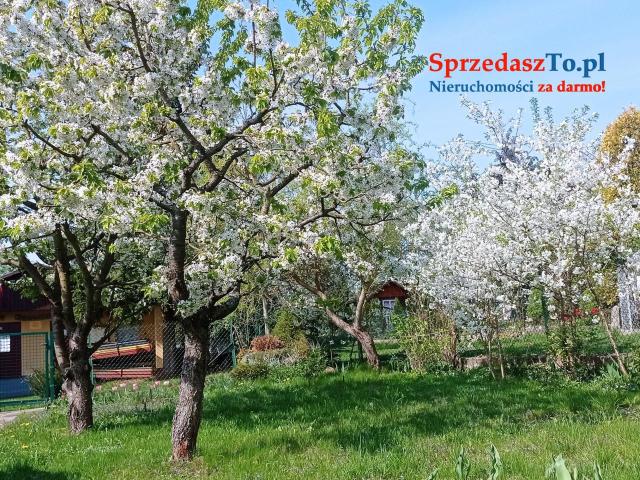 Sprzedam działkę ROD z prądem i wodą - 6